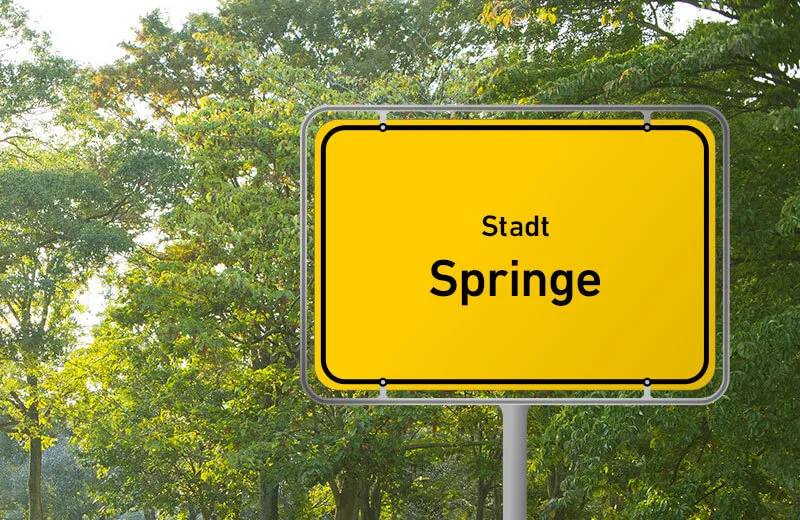 Springe